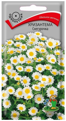 Семена Хризантема Снегурочка, 0,05 гр.
