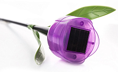 Садовый LED светильник тюльпан лиловый USL-C-453/PT305 PURPLE TULIP