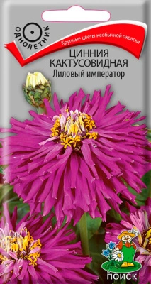 Семена Цинния кактусовидная Лиловый император, 0,4 гр.